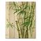 Designart - Detail of Dark Green Bamboo II - Traditional Print on Natural Pine Wood